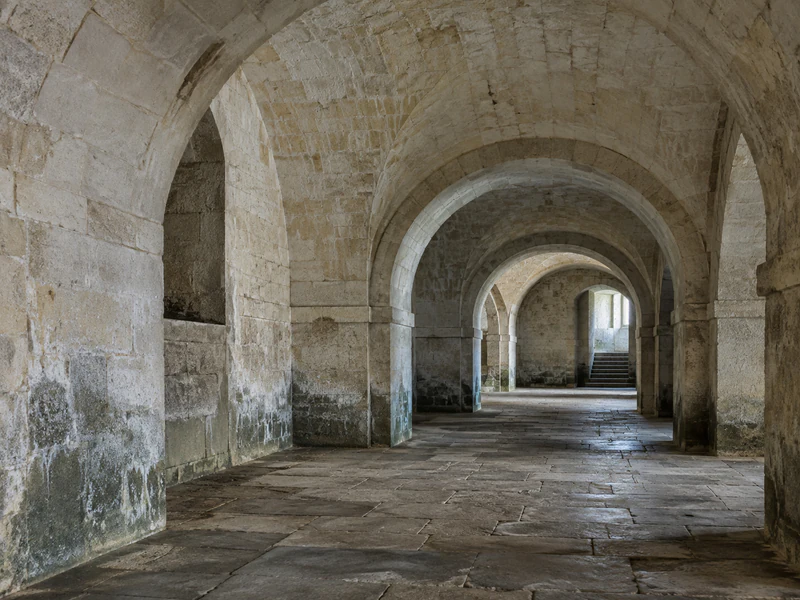 Cave voûtée de château, pierre de taille humide en perspective