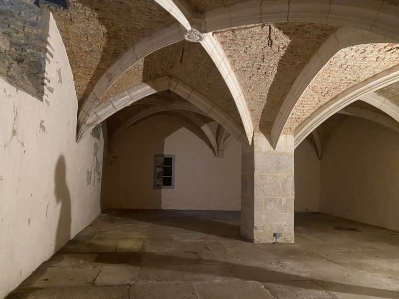 Cloquage des enduits salle basse Monastère Royal de Brou Bourg-en-Bresse traité par Mur-Tronic