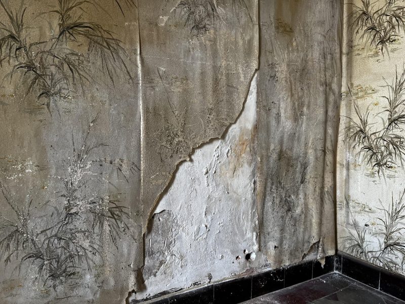 Décollement du papier peint et présence de moisissures dues aux remontées capillaires sur mur intérieur à Lyon - Mur-Tronic