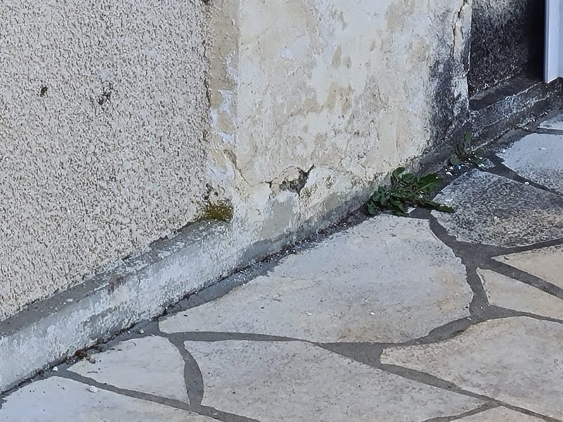 Détérioration extérieure des murs en pierre liée aux remontées capillaires sur une maison ancienne à Pessac - Mur-Tronic