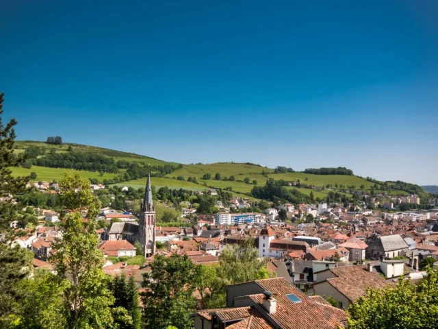 Bâti ancien - Aurillac - traitement des remontées capillaires et du salpêtre Mur-Tronic