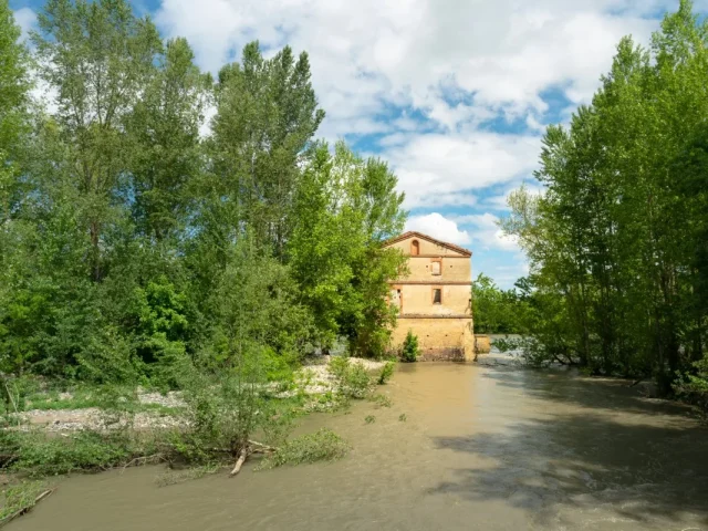 Bâti ancien - Blagnac - traitement des remontées capillaires et du salpêtre Mur-Tronic