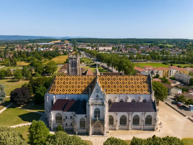 Bâti ancien - Bourg-en-Bresse - traitement des remontées capillaires et du salpêtre Mur-Tronic