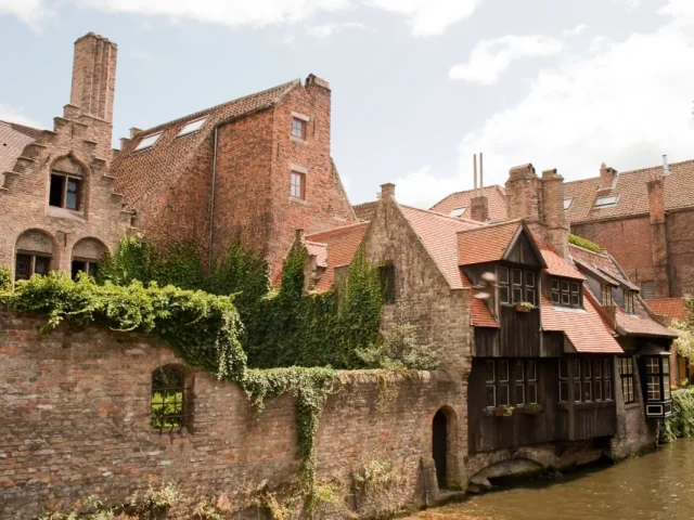 Bâti ancien - Bruges - traitement des remontées capillaires et du salpêtre Mur-Tronic
