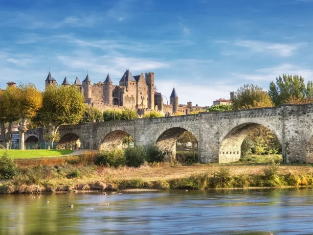 Bâti ancien - Carcassonne - traitement des remontées capillaires et du salpêtre Mur-Tronic