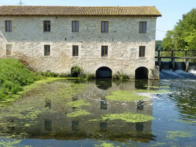 Bâti ancien - Eysines - traitement des remontées capillaires et du salpêtre Mur-Tronic