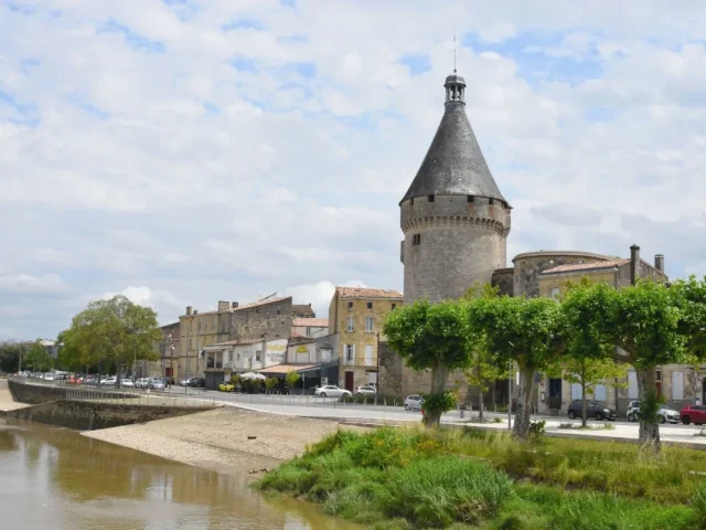 Bâti ancien - Libourne - traitement des remontées capillaires et du salpêtre Mur-Tronic