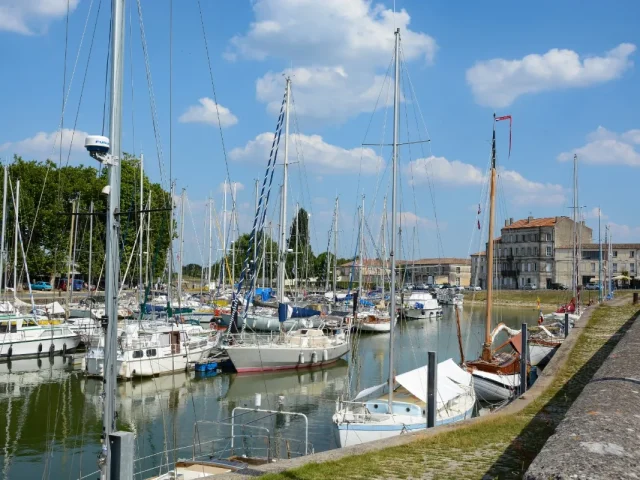 Bâti ancien - Rochefort - traitement des remontées capillaires et du salpêtre Mur-Tronic