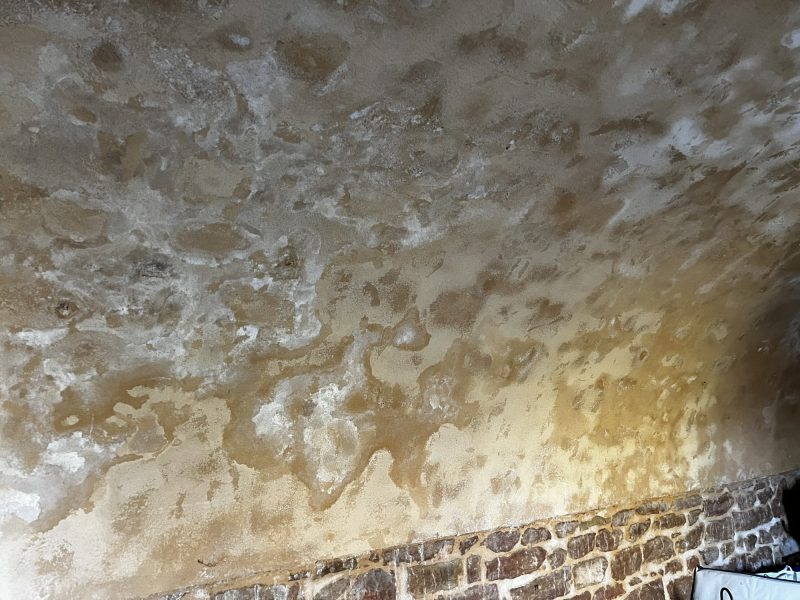 Humidité ascendante et dégradation des enduits intérieurs sur mur de maison à Alix - diagnostic Mur-Tronic
