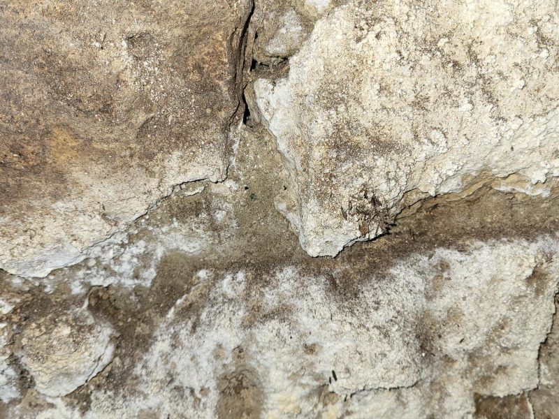 Mur de chaix présentant des traces d'humidité par remontées capillaires à Vindrac-Alayrac - Mur-Tronic
