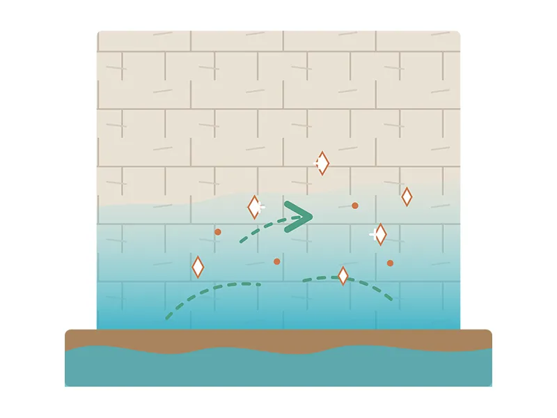 Schéma de l'osmose : les sels minéraux amplifient la remontée d'eau dans le mur