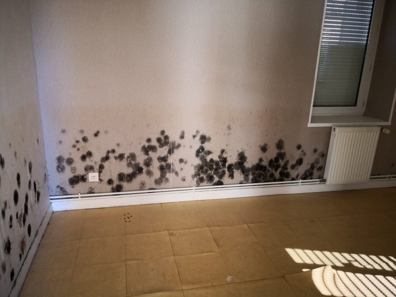 Moisissures en pied de mur dans un logement collectif en pierre à Epinac traité par Mur-Tronic