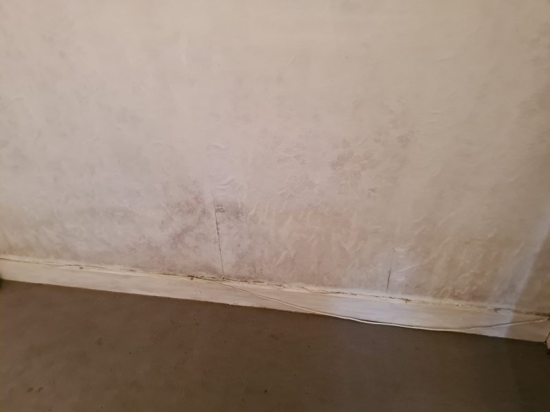 Moisissures sur mur de refend intérieur dues aux remontées capillaires dans une maison à Mérignac - intervention Mur-Tronic