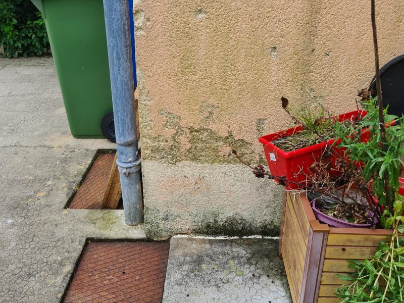 Remontées capillaires visibles sur mur extérieur avec efflorescences salines - maison locative à Saintes - Mur-Tronic