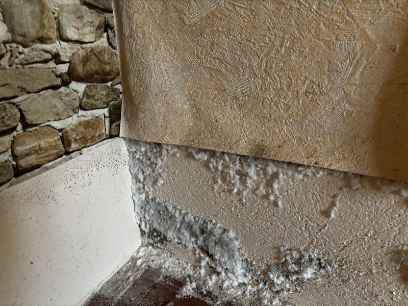 Remontées capillaires et salpêtre - dépendance château Missery
