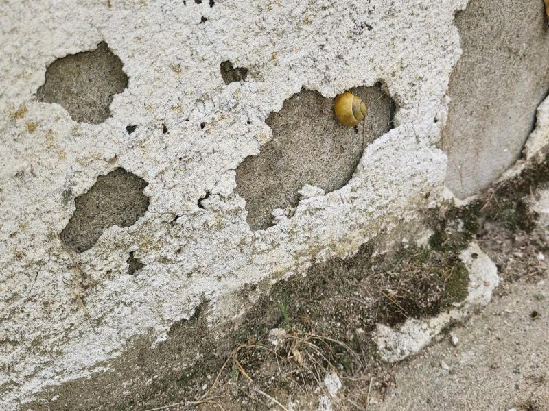 Sels hygroscopiques dans chambre RDC traités par Mur-Tronic Pechbonnieu